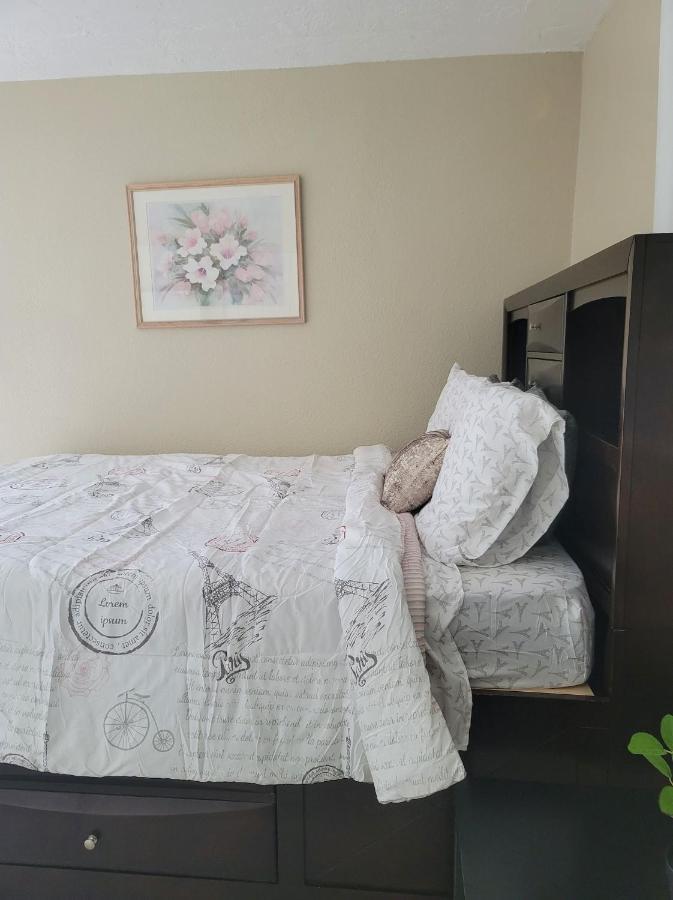 Entire Guesthouse 5 Mins To Siesta Key & Downtown Sarasota Eksteriør billede